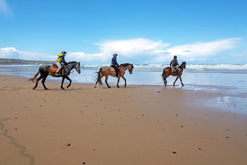 sprachaufenthalt-portugal-faro-reiten Sprachaufenthalt Portugal, Faro - Reiten