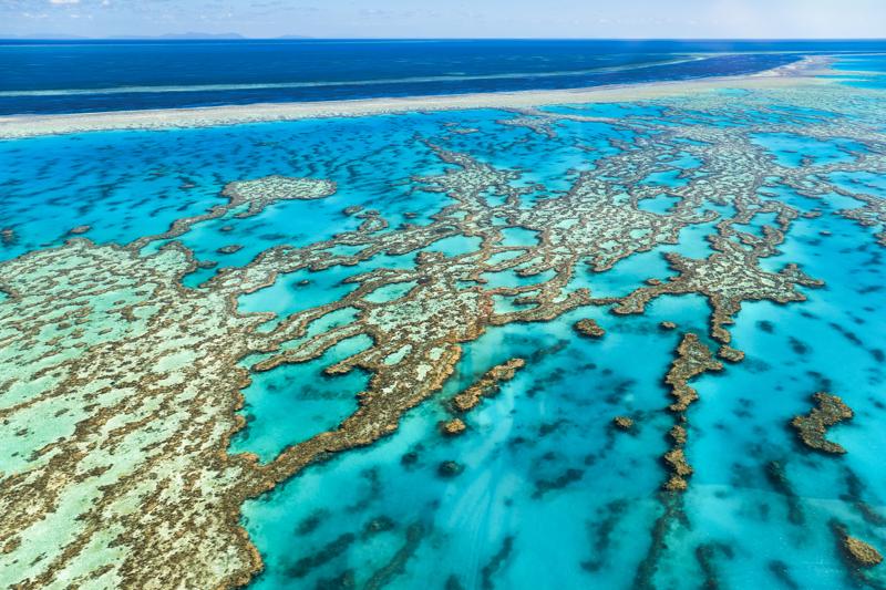 sprachaufenthalt-australien-cairns-great-barrier-reef2 Sprachaufenthalt, Australien - Great Barrier Reef