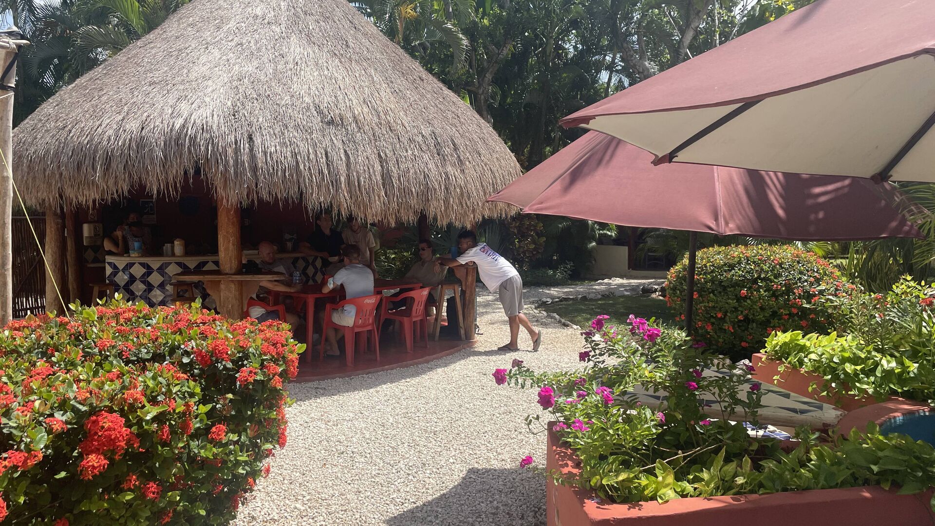 sejourlinguistique-mexique-playa-del-carmen-don-quijote Séjour linguistique Mexique, Playa del Carmen, Don Quijote