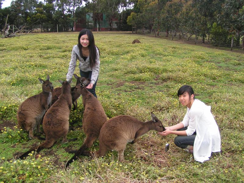 séjourlinguistique-australie-adelaide-saceadelaide-étudiants Séjour linguistique Australie, Adelaide - SACE Adelaide - Étudiants