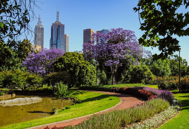 sprachaufenthalt-australien-melbourne-royal-botanic-gardens1 Sprachaufenthalt Australien, Melbourne - Royal Botanic Gardens