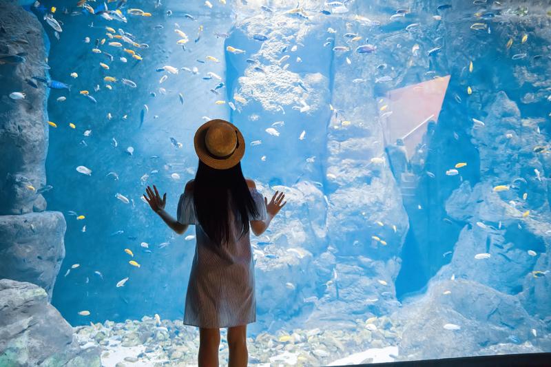 sprachaufenthalt-frankreich-biarritz-aquarium-de-biarritz Sprachaufenthalt Frankreich, Biarritz - Aquarium