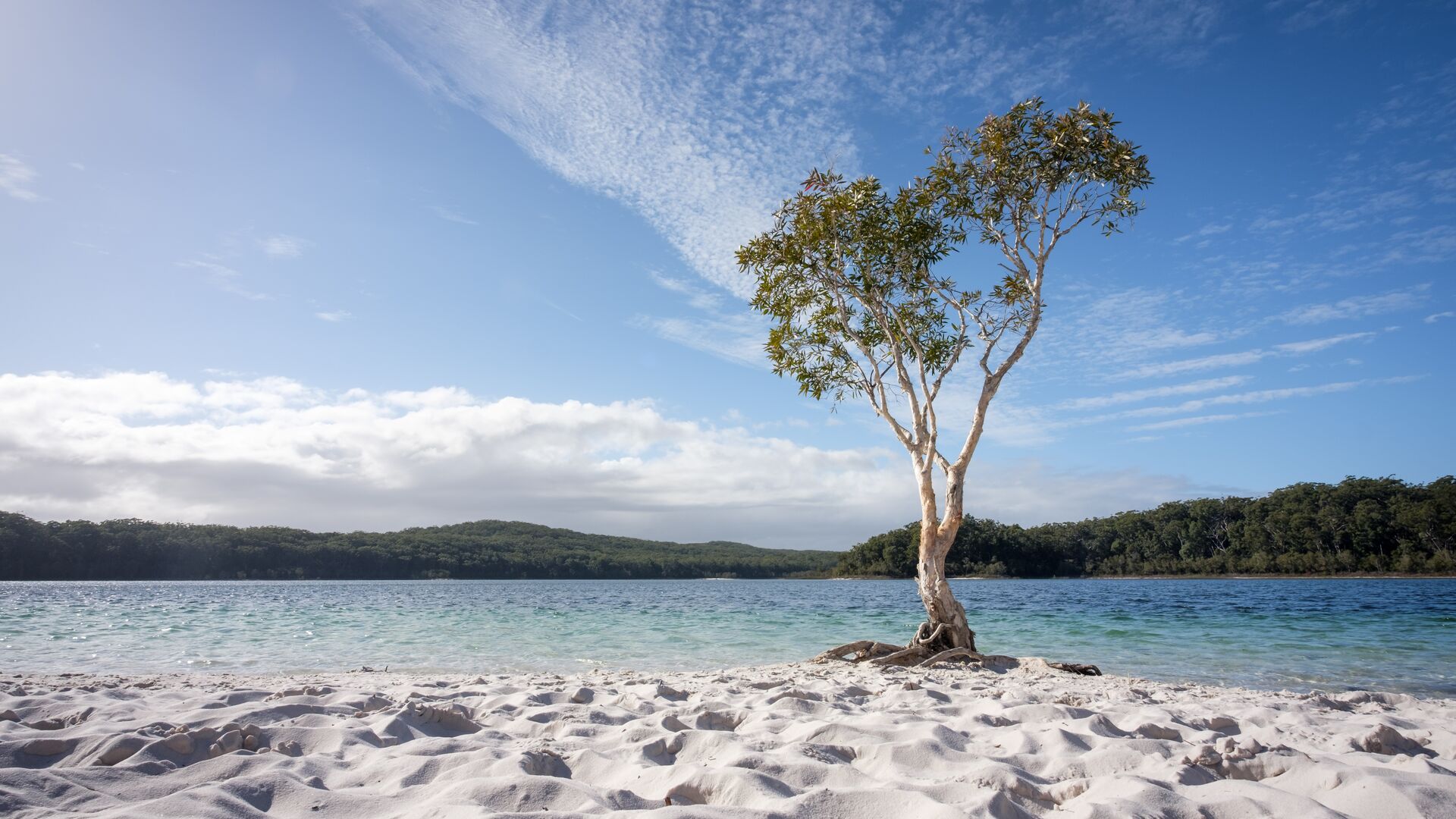 sprachaufenthalt-australien-noosa-fraser-island Sprachaufenthalt Australien, Noosa, Fraser Island