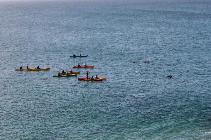 séjourlinguistique-australie-byronbay-kayaking Séjour linguistique Australie, Byron Bay - Kayak