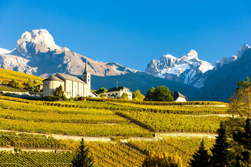 geo-sprachaufenthalt-schweiz-weinfelder Sprachaufenthalt Schweiz, Lausanne - Weinreben