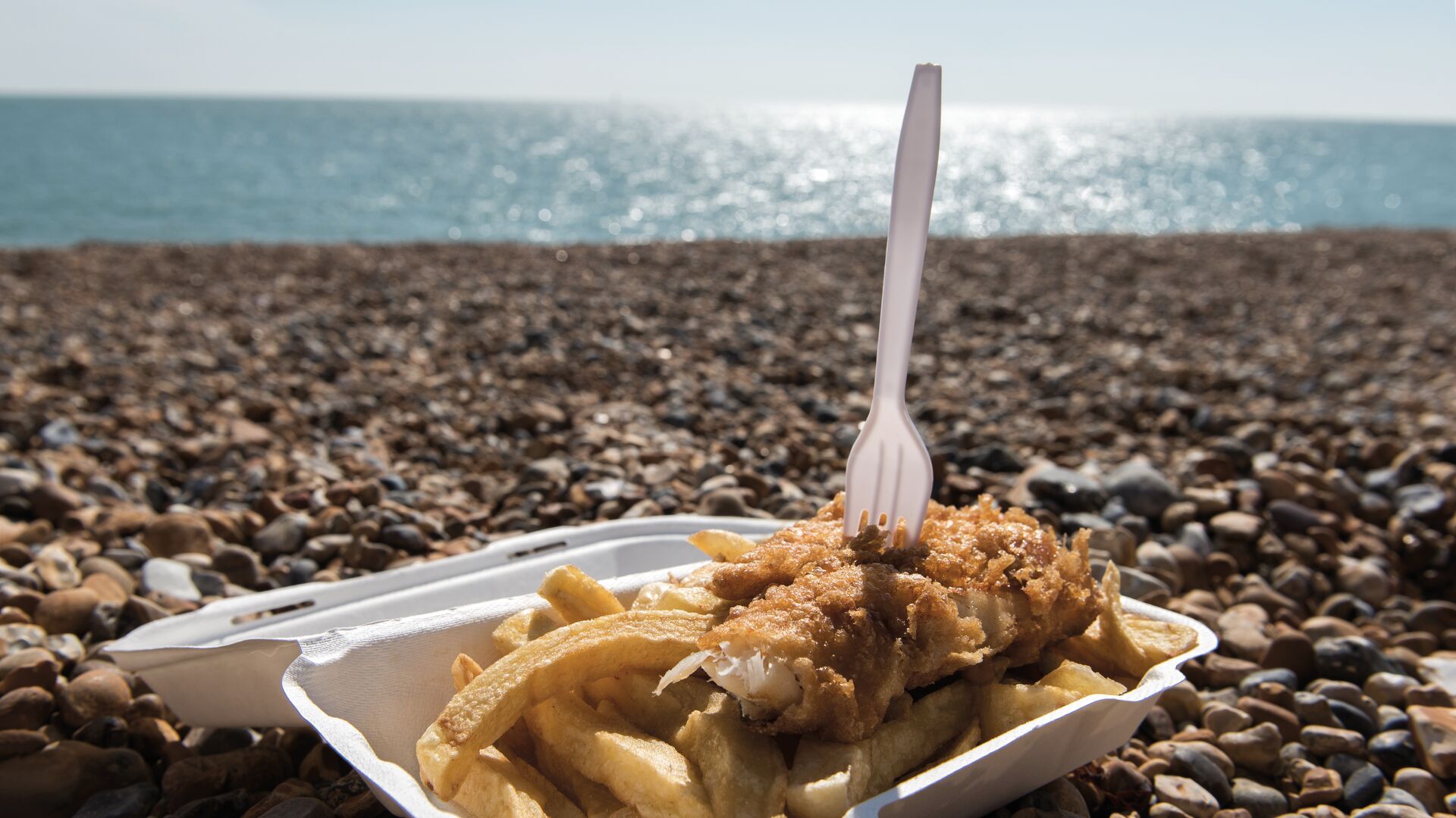 sprachaufenthalt-england-brighton-fish-chips Sprachaufenthalt England, Brighton, Fish n Chips