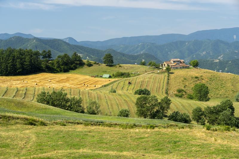 séjourlinguistique-italie-bagnodiromagna05 Séjour linguistique Italie, Bagno di Romagna - Paysage