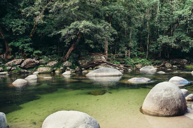 sprachaufenthalt-australien-port-douglas-mossman-gorge-dreamtime-walk1 Sprachaufenthalt, Australien - Cairns - Wanderung