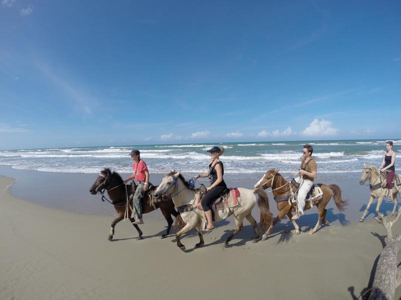 sprachaufenthalt-dominikanischerepublik-sosua-institutointerculturasosua-reiten Sprachaufenthalt Dominikanische Republik, Sosua - Instituto Intercultura Sosua - Reiten