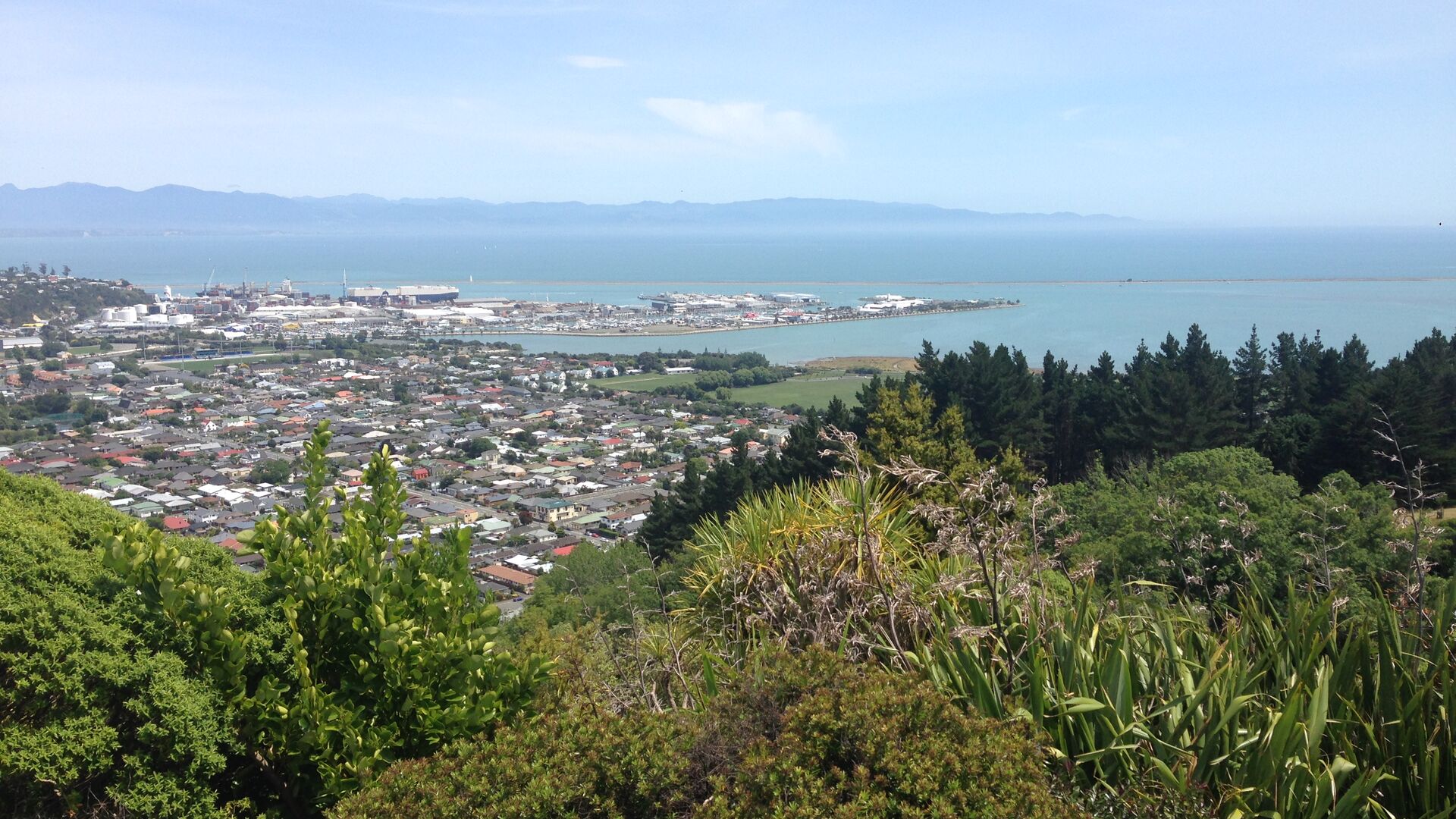 sejourlinguistique-nouvelle-zelande-nelson-vue Séjour linguistique Nouvelle-Zélande, Nelson, Vue