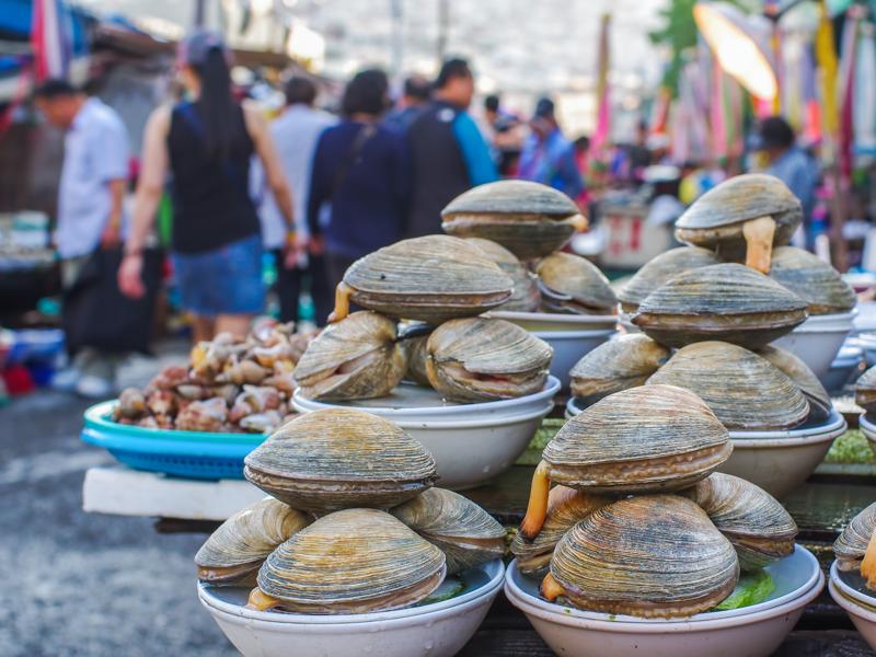 séjourlinguistique-coréedusud-busan-marchéauxpoissonsdejagalchi Séjour linguistique Corée du sud, Busan - Marché aux poissons de Jagalchi