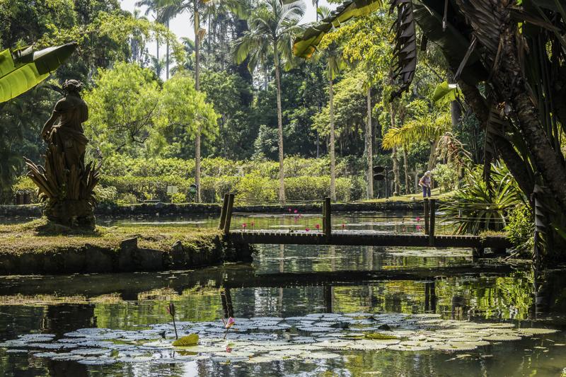 sprachaufenthalt-brasilien-rio-de-janeiro-botanischergarten Sprachaufenthalt Brasilien, Rio de Janeiro - Botanischer Garten