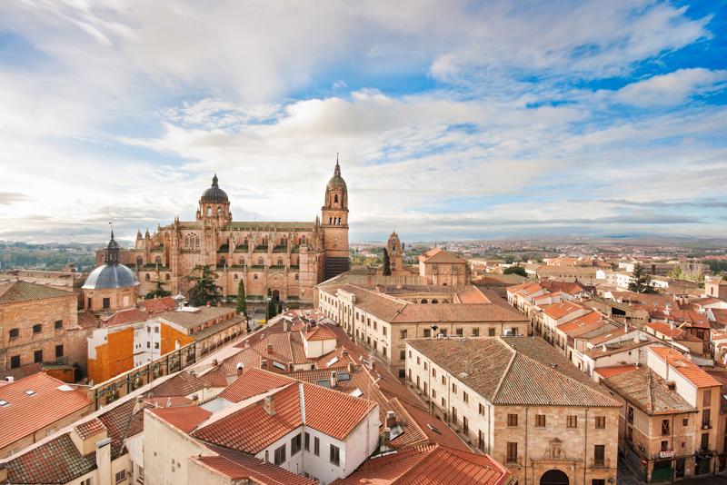 sprachaufenthalt-spanien-salamanca-cathedral Sprachaufenthalt Spanien, Salamanca - Stadt